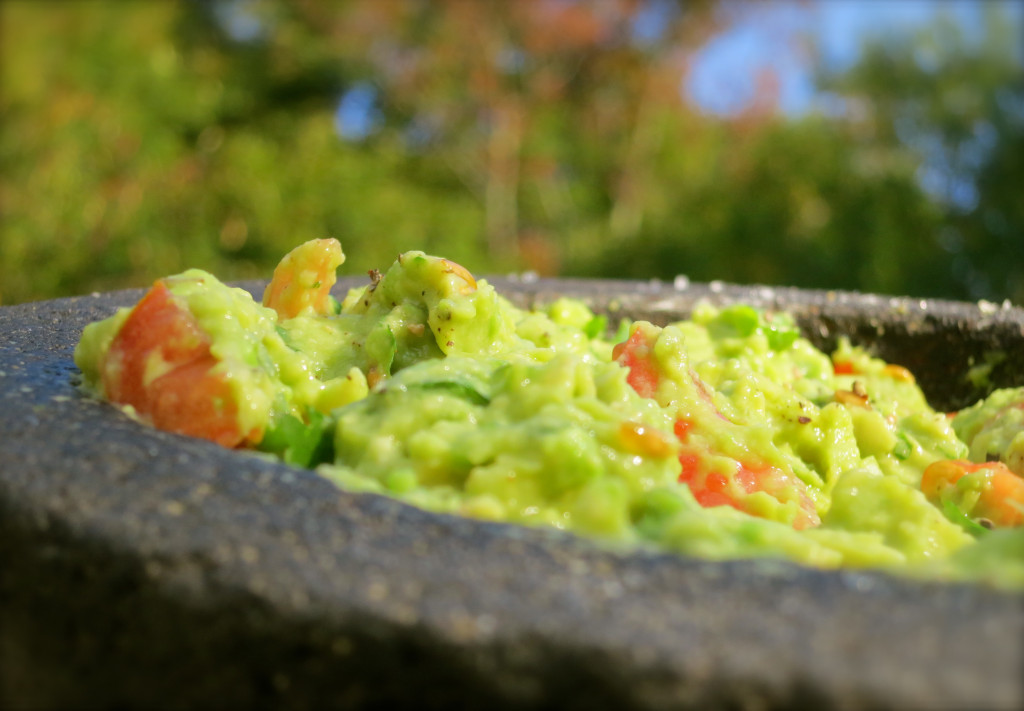 Rockin_Guac2